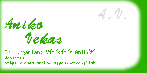 aniko vekas business card